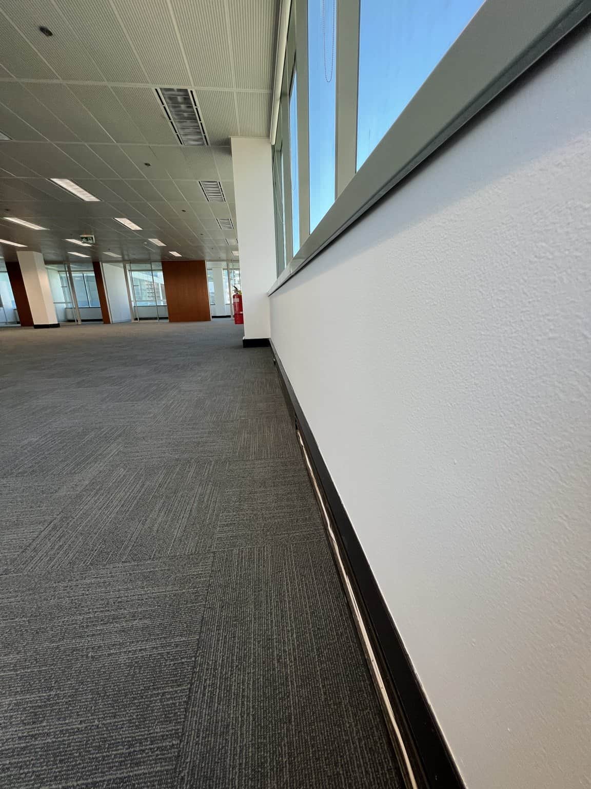 Close view of a light office wall beneath the windows in Chatswood.