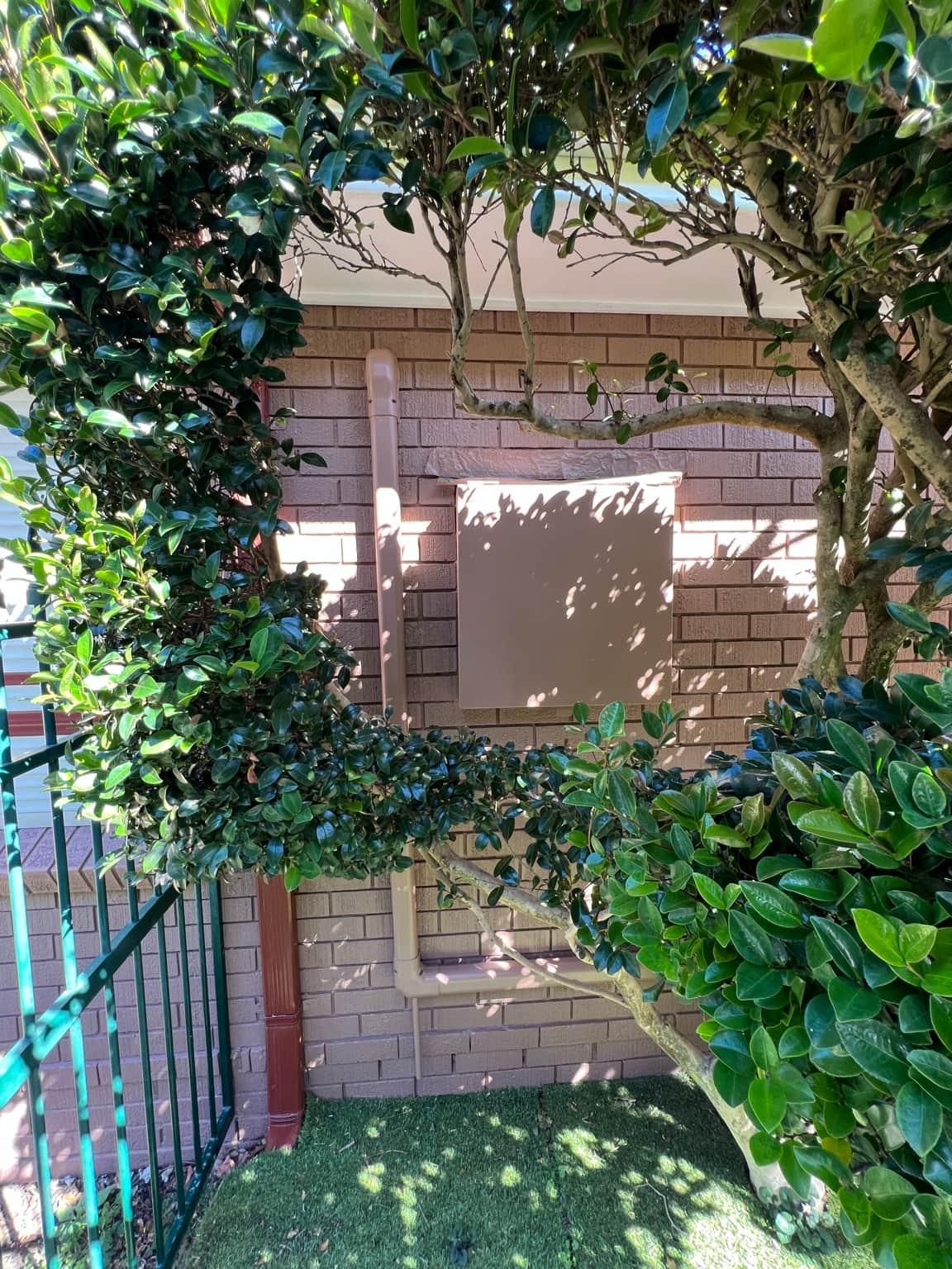 Painted exterior brickwork beside garden planting in Cowan