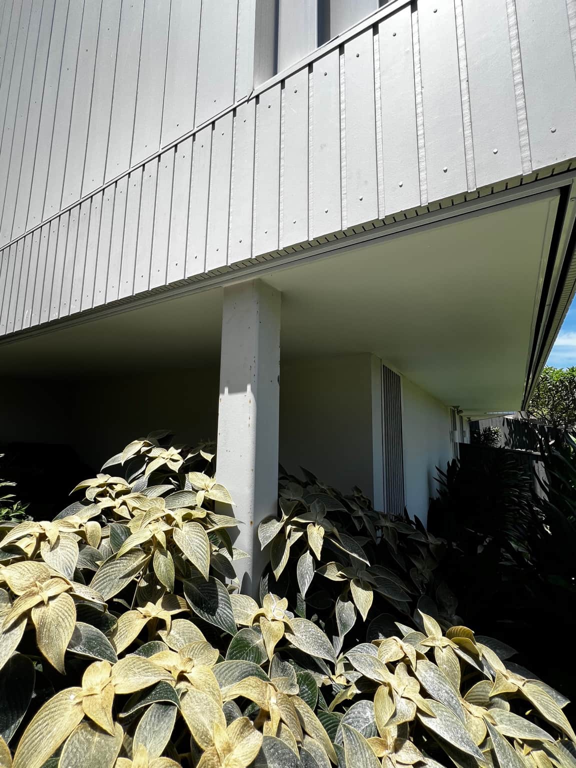 Exterior cladding and columns at the Dover Heights house painting project