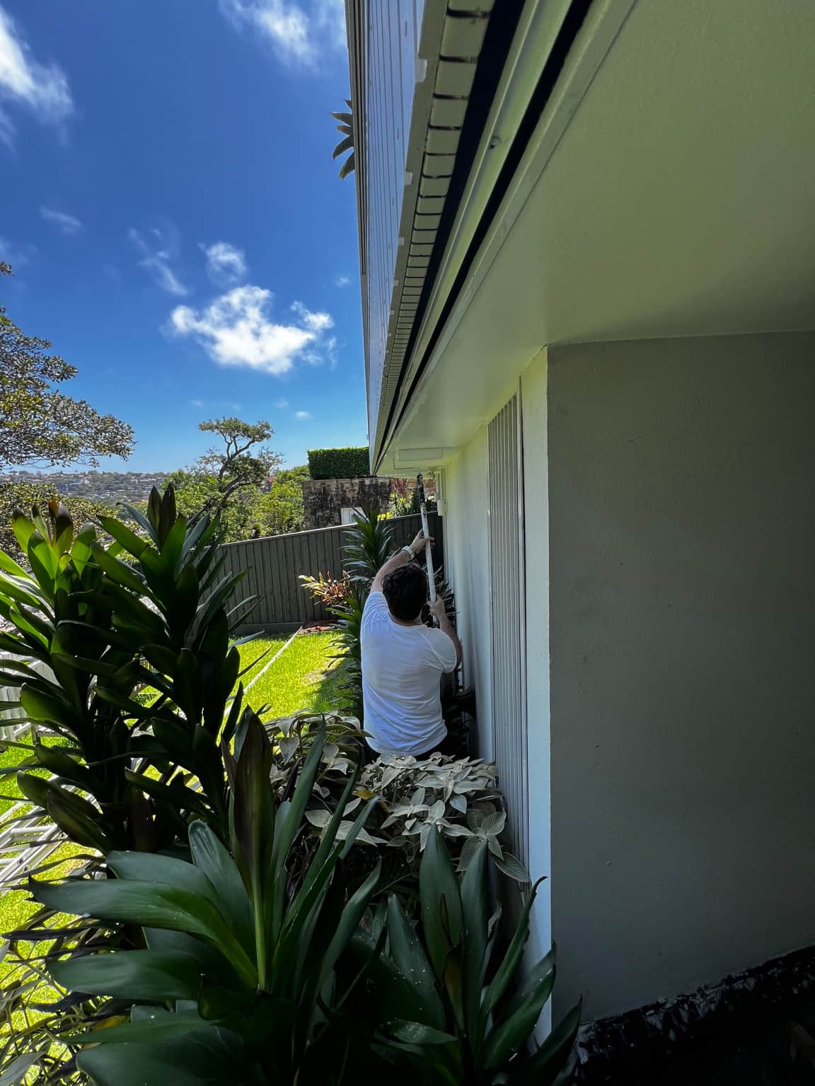 Exterior painting in progress beside the garden and glazing at the Dover Heights home