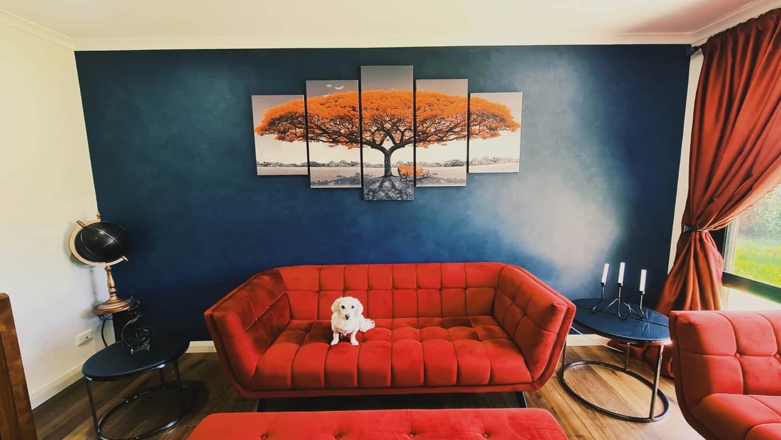 Completed blue Porter’s French Wash feature wall behind red seating and orange tree artwork in a St Clair living room