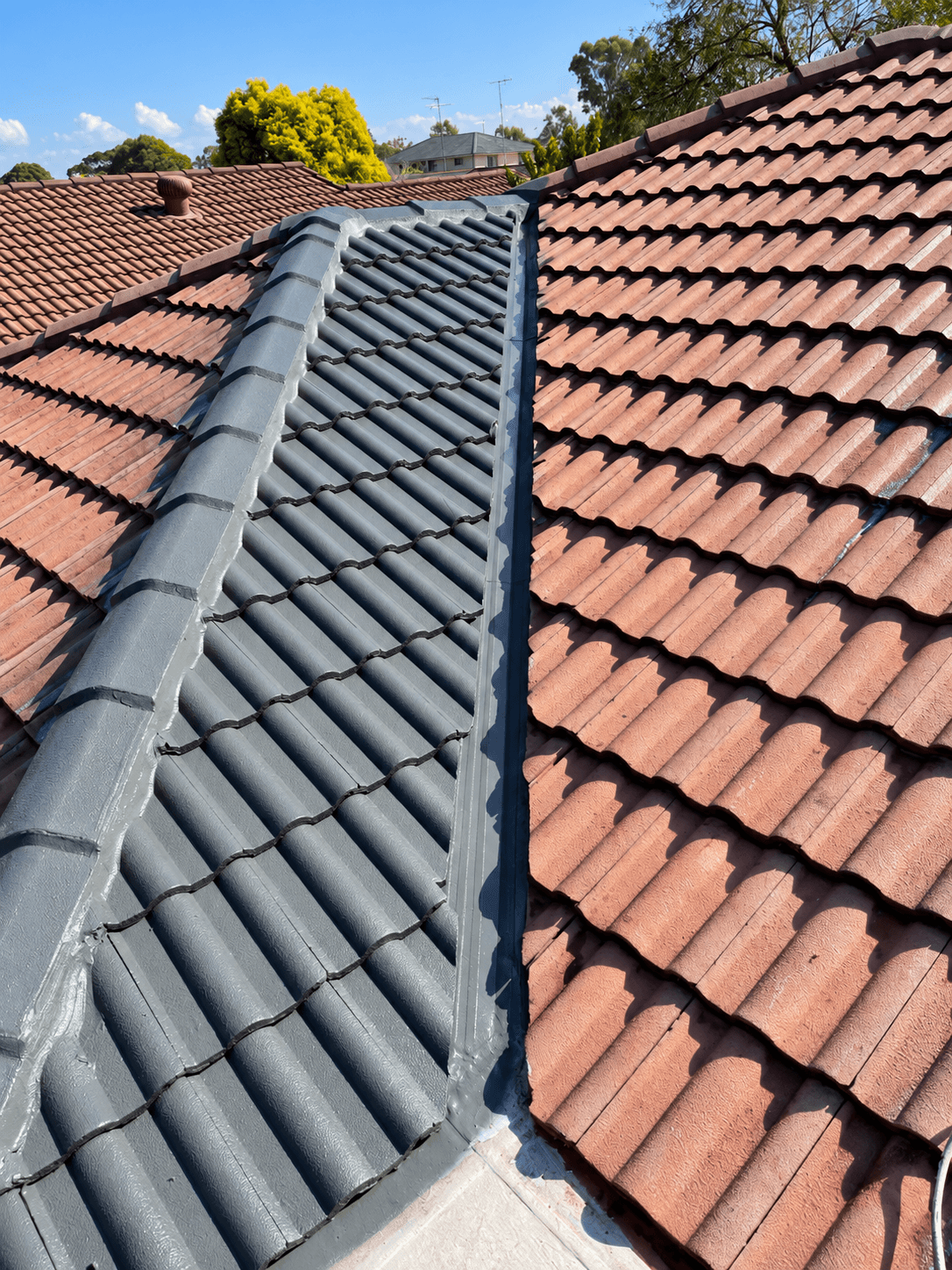 Close view of coated and original roof tiles during painting in St Clair