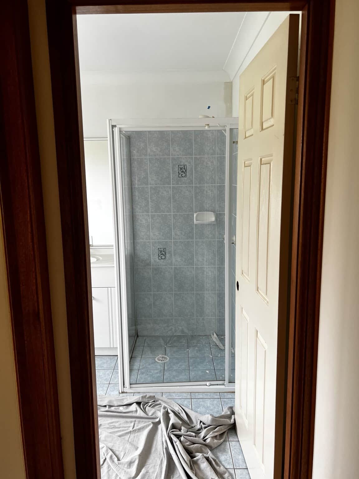 Bathroom entrance with a cream door and tiled shower before interior painting.